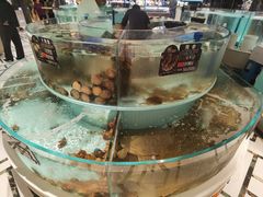 -鞍山大白鲨美食酒店