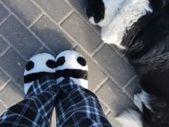 -深圳海边小筑客栈