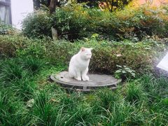 -西南民族大学南区(双流校区)