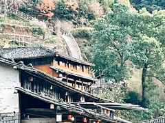 -林坑古村落