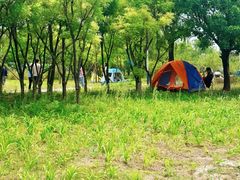 -绿堤公园
