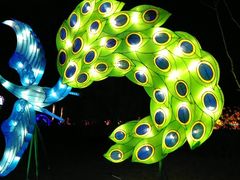 -南宫五洲植物乐园