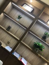 -苑苑vbeauty科技美容SPA
