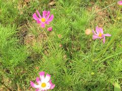 -金陵科技学院江宁校区-图书馆