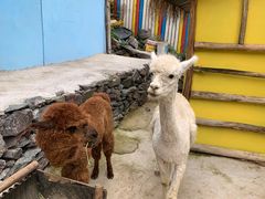 -西部长青自然儿童乐园