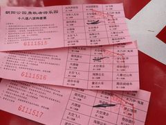 -朝阳公园游乐园