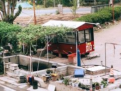 -北京龙庆四季香农家饭庄·灶台鱼·碳烤虹鳟鱼(龙庆峡店)