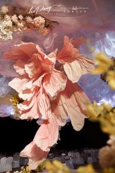 -美诺婚礼策划·求婚策划