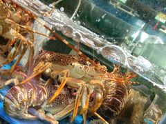 -蓝珊瑚蒸汽海鲜餐厅(龙奥店)