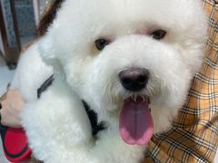 -FAELING PETS美天灵宠物(富力广场店)