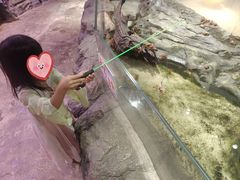 -正佳雨林生态植物园
