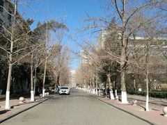 -北京化工大学(东校区)