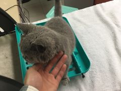 -惠康宠物医院(华能路店)