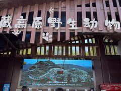 -青藏高原野生动物园
