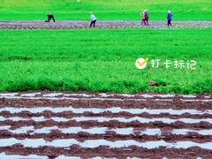-百里天路