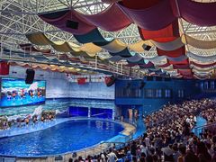 -多彩贵州城极地海洋世界