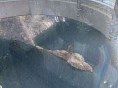 -蓝精灵乐园·世茂精灵之城主题乐园
