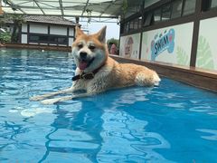 -太阳岛度假酒店
