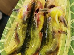 -铭记蛙小仙·活蛙畅享(CBD万达广场店)