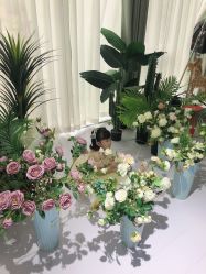 -小阿福儿童摄影(光谷时代广场店)