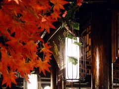 大堂-燕郊烧鸽子(广安路店)