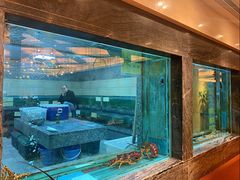 海鲜池-海逸海鲜酒家(古北店)
