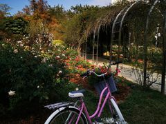 -人民公园(罗湖区)