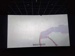-中影大导演巨幕影城(深圳西乡店)