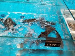 -艳阳天·非遗楚菜(武汉客厅店)