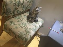 -万小咖.猫咖(中山路天虹店)