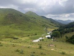 -大姆山草场