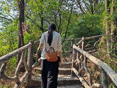 -大雁山风景区