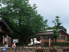 -大湾区中央湿地公园