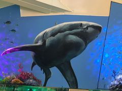 -鸿通城购物中心