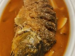 -阿五黄河大鲤鱼(英协路店)