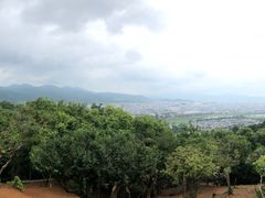 -岚山猴子公园