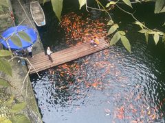 -千岛湖东南湖区