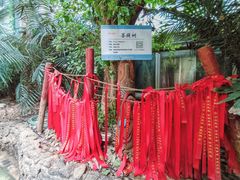 -呀路古热带植物园