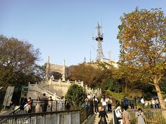 -紫金山山顶公园