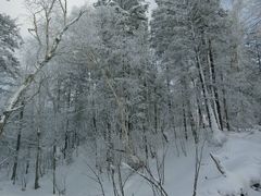 -全家便利店(孩儿巷店)