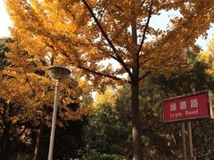 -陕西师范大学(雁塔校区)