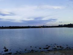 -深圳湾公园(南山区)