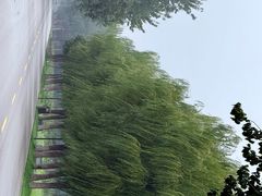 -汉长安城未央宫国家考古遗址公园