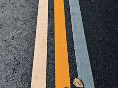 -牛背梁国家森林公园