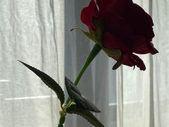 -妈妈菜舟山海鲜(定海古城店)