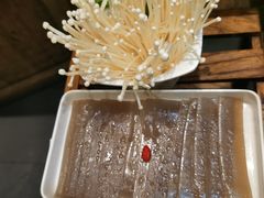 -南门四季铜锅涮肉(左家庄店)
