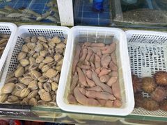 -常家活海鲜小吃(仅一家无分店)