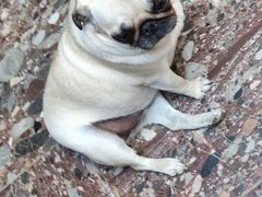 -仟吉(汉口新界店)