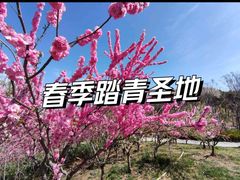 -河北省园博园