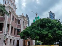 -香港大学